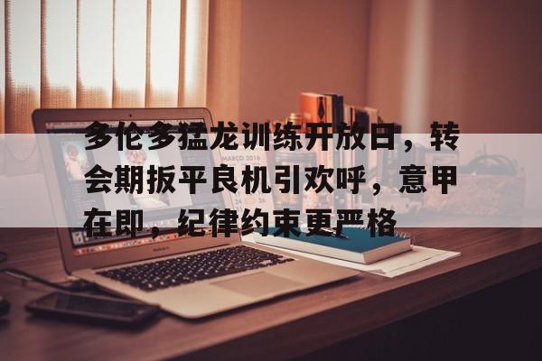 多伦多猛龙训练开放日，转会期扳平良机引欢呼，意甲在即，纪律约束更严格的简单介绍